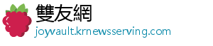 雙友網
